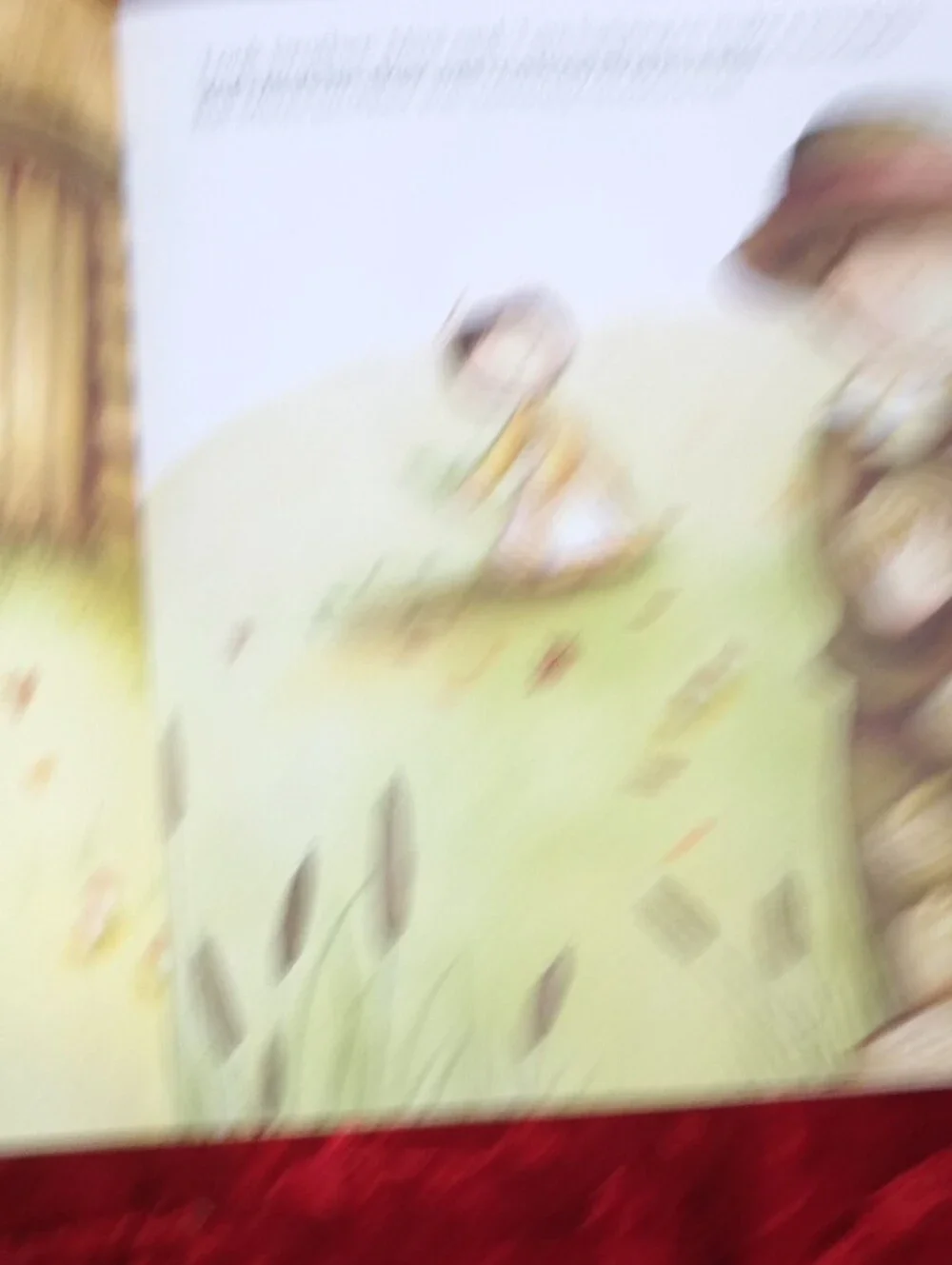 Children's Book 